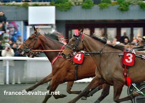 france cheval turf blogspot|FRANCECHEVALTURF. .